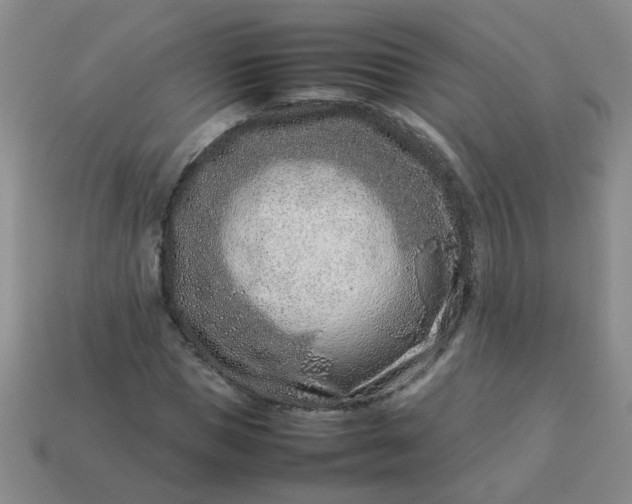 X0000114140921200910221522