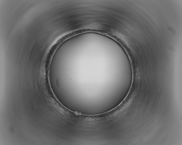 X0000114140923200910221522