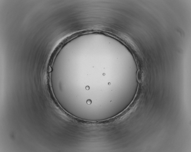 X0000114140924200910221522