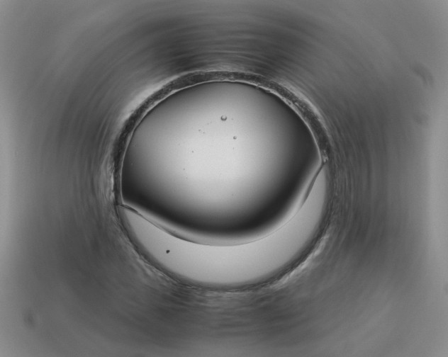 X0000114140925200910221522