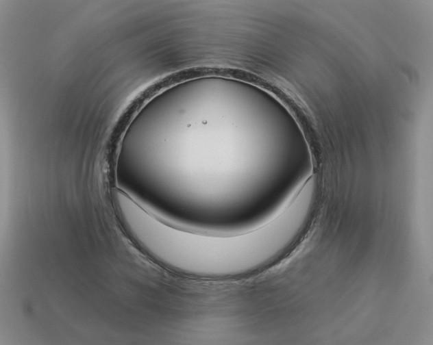 X0000114140926200910221522