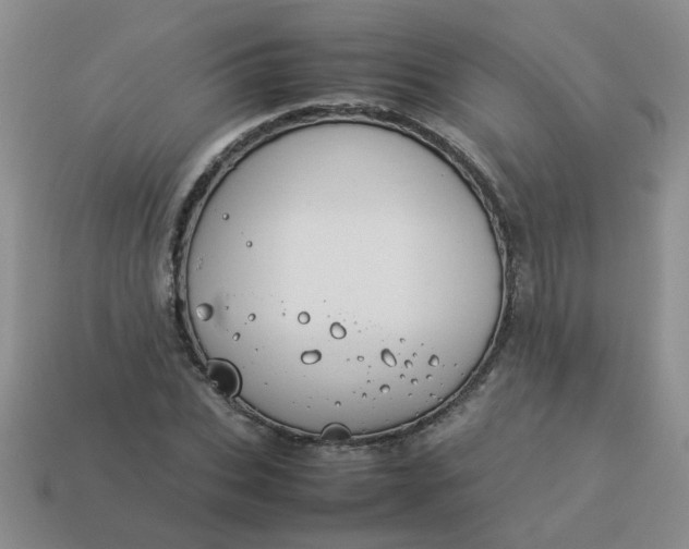 X0000114140927200910221522