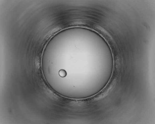 X0000114140929200910221522