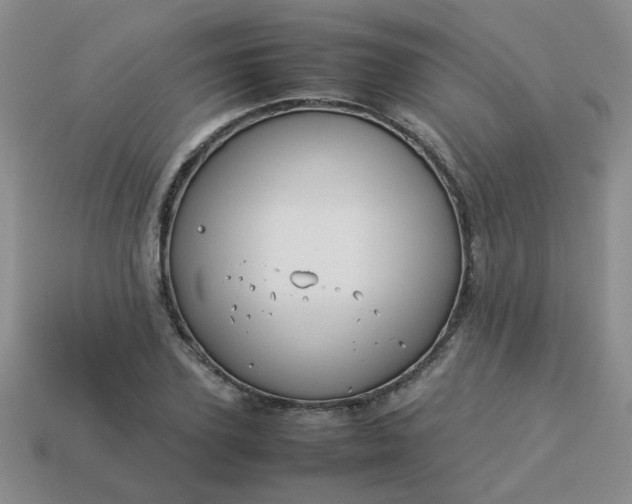 X0000114140931200910221522