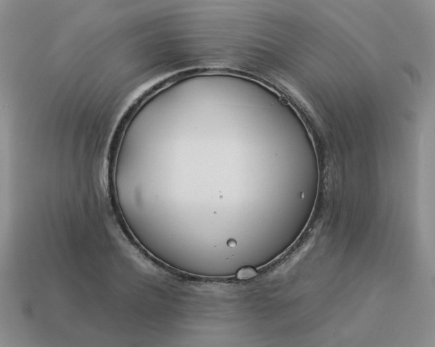 X0000114140932200910221522