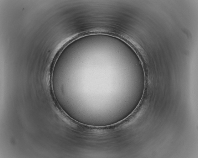 X0000114140933200910221522