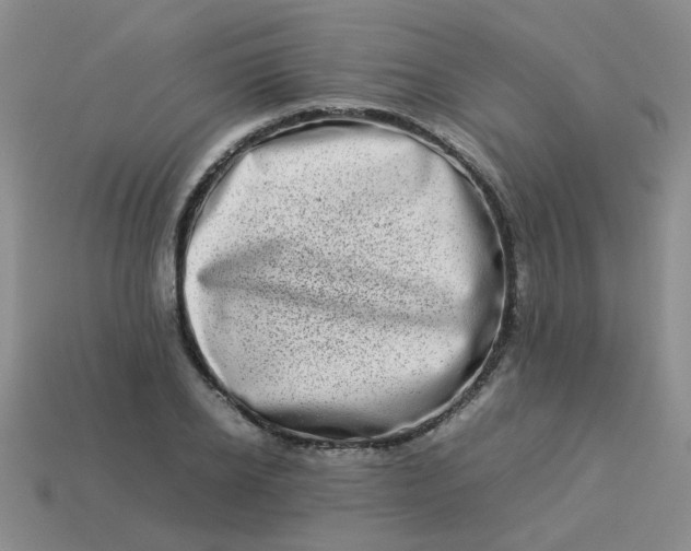 X0000114140934200910221522