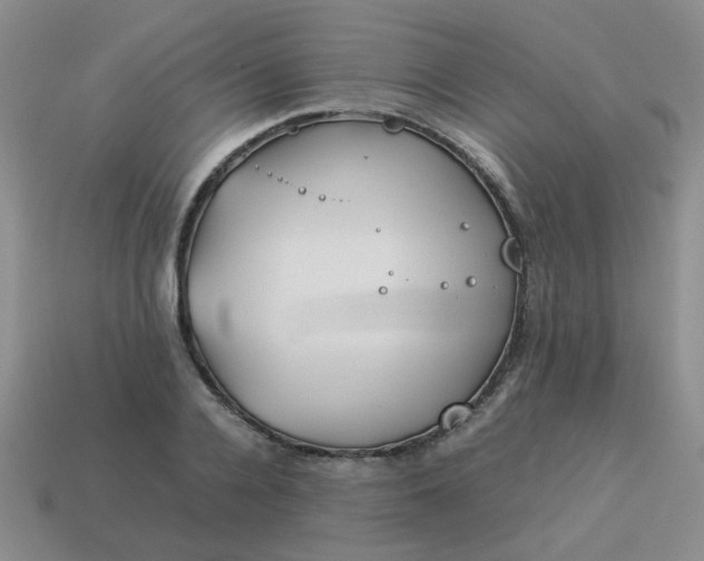 X0000114140936200910221522