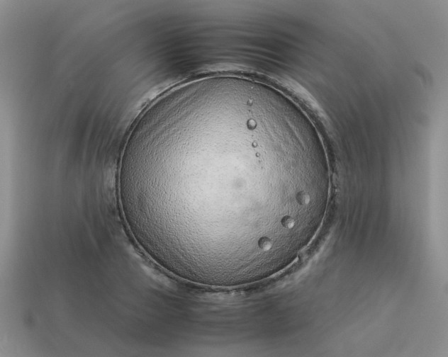 X0000114140937200910221522