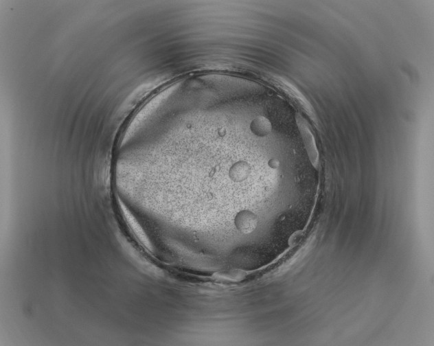 X0000114140938200910221522