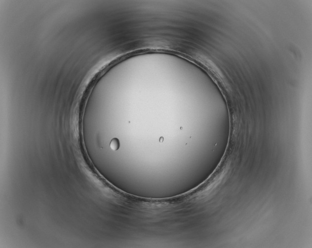 X0000114140939200910221522