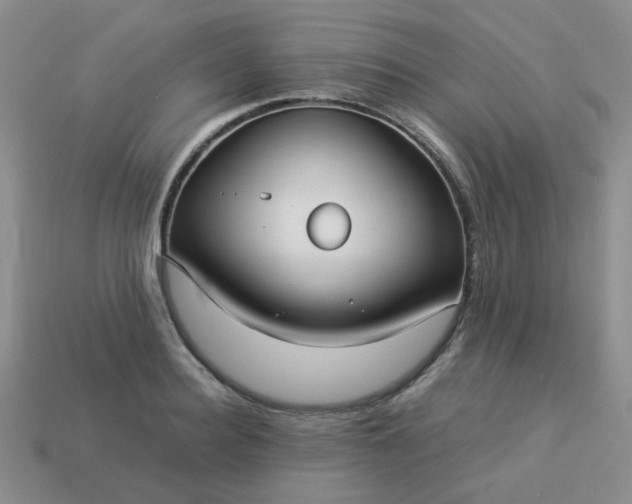 X0000114140940200910221522