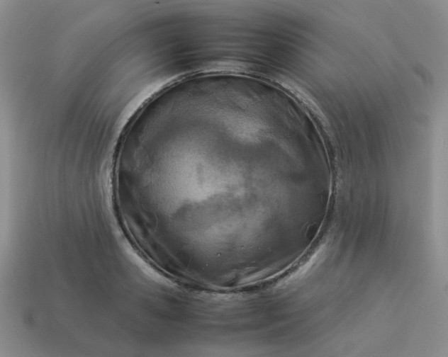 X0000114140941200910221522