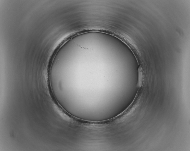 X0000114140942200910221522