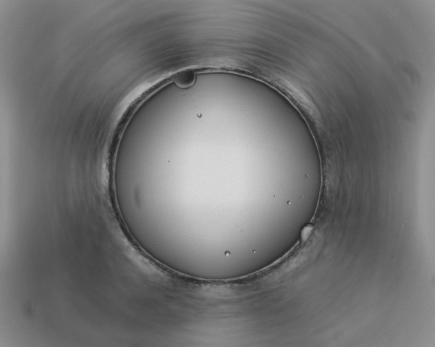 X0000114140944200910221522