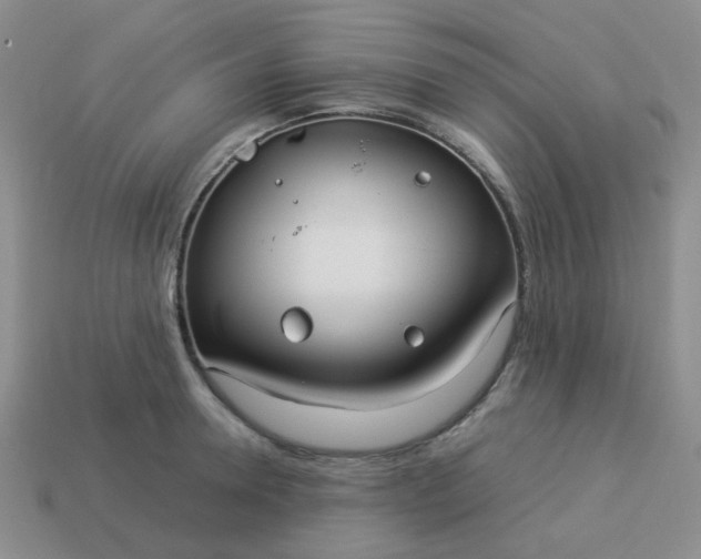 X0000114140946200910221522