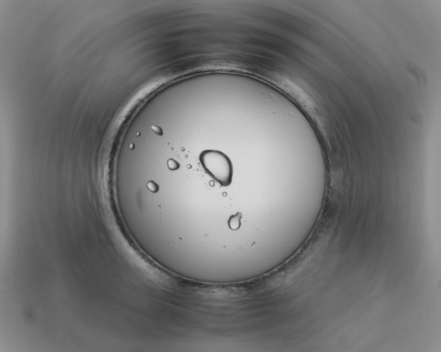 X0000114140947200910221522