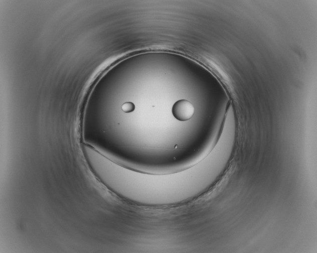 X0000114140948200910221522