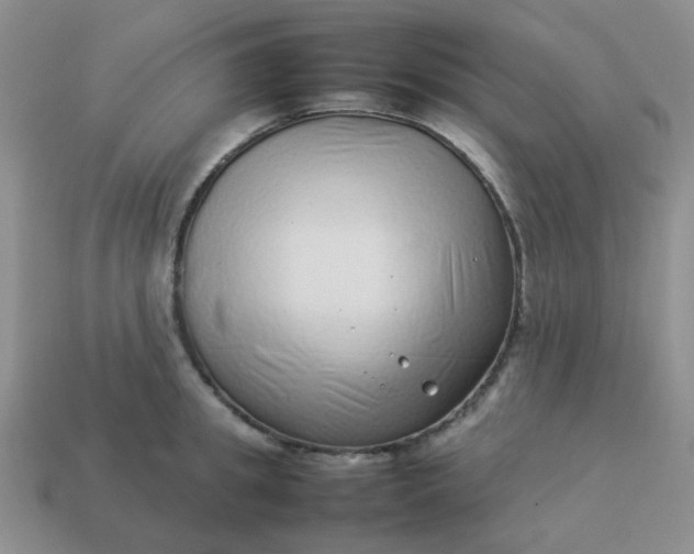 X0000114140949200910221522