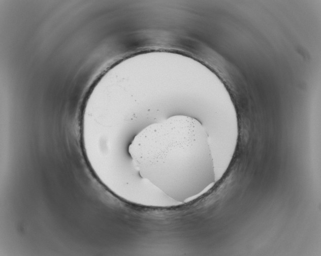 X0000114140950200910221522