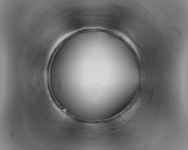 X0000114140951200910221522