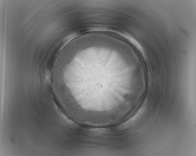 X0000114140953200910221522