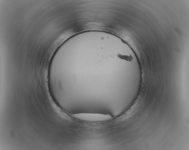 X0000114140954200910221522