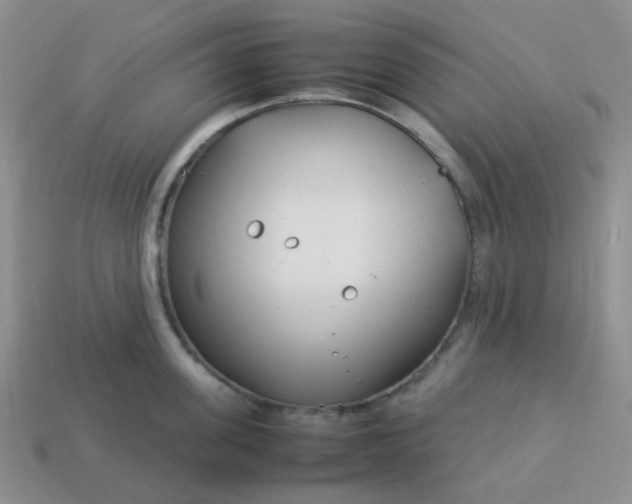 X0000114140955200910221522