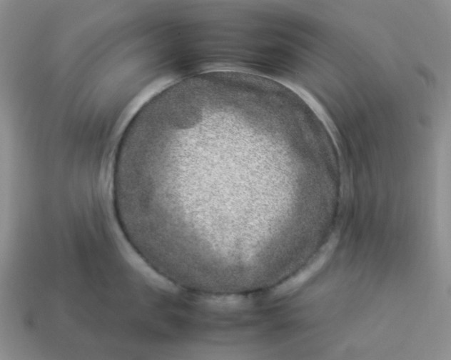 X0000114140957200910221522