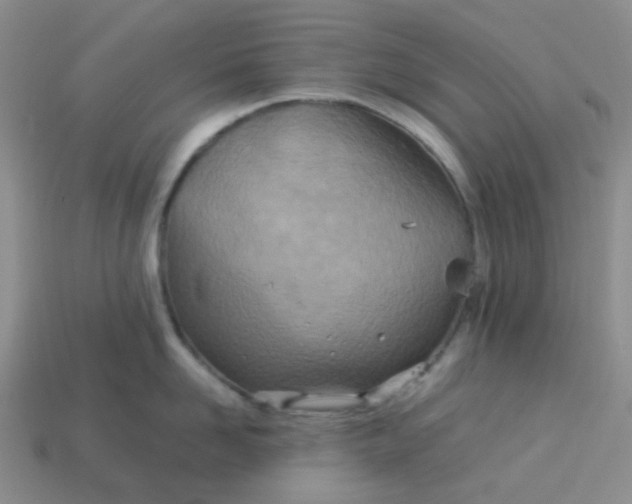 X0000114140958200910221522