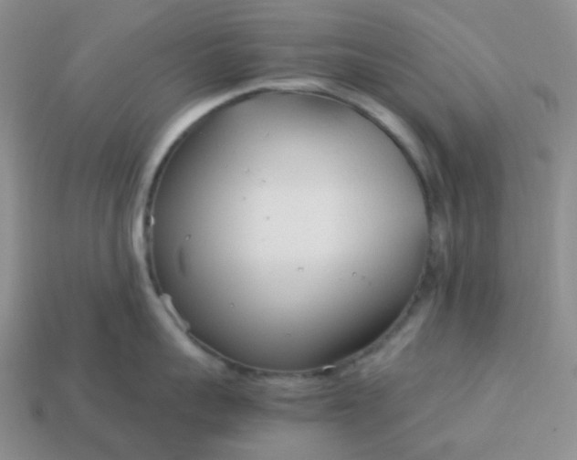 X0000114140959200910221522