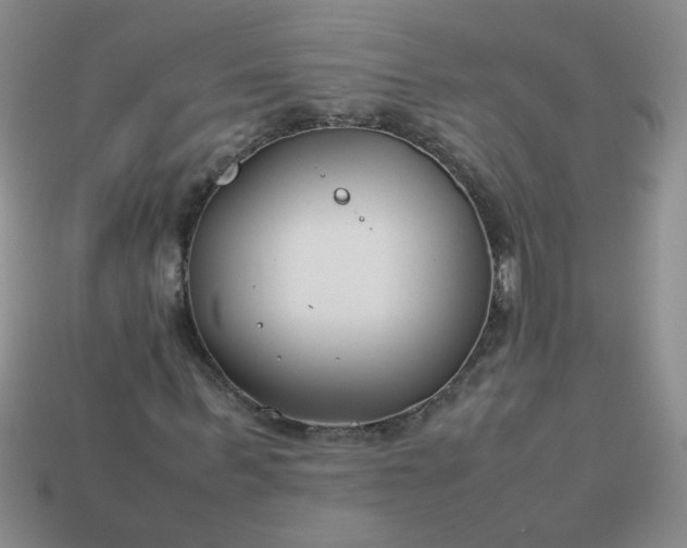 X0000114140963200910221522