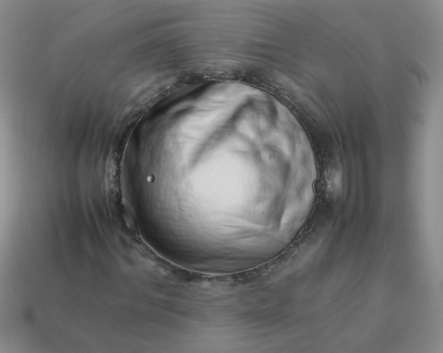 X0000114140964200910221522