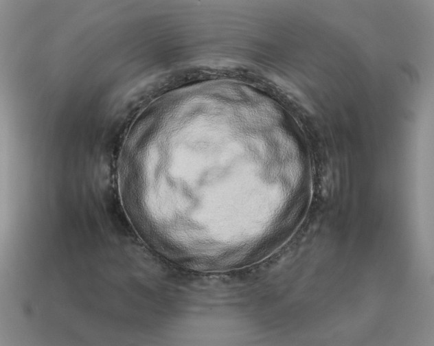 X0000114140966200910221522