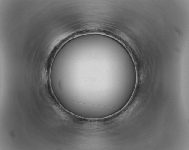 X0000114140973200910221522