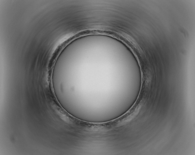 X0000114140974200910221522