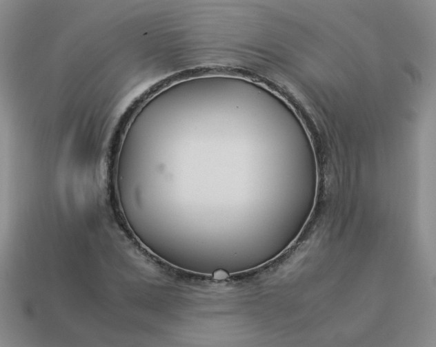 X0000114140975200910221521