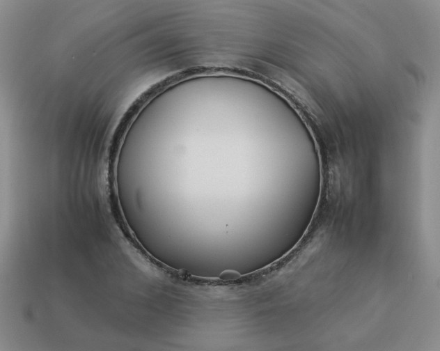 X0000114140976200910221521