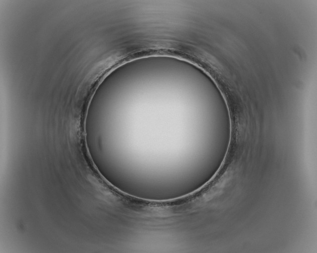 X0000114140977200910221521