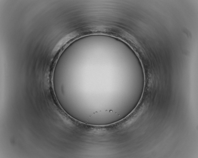 X0000114140978200910221521