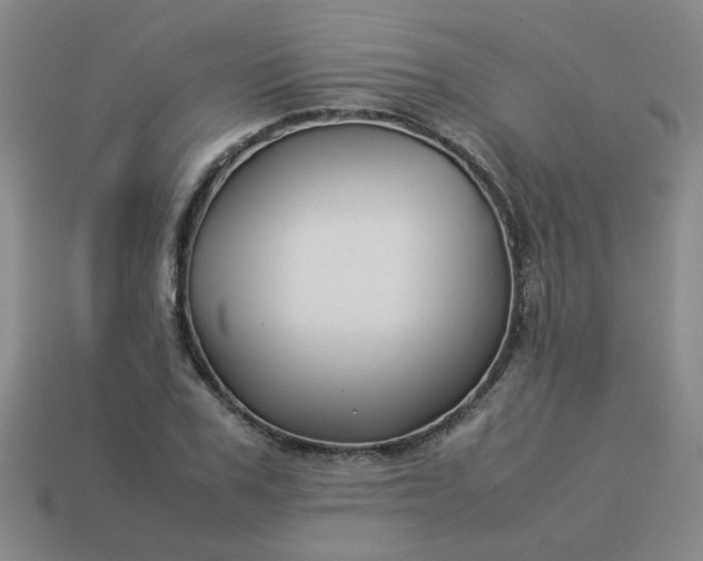 X0000114140979200910221521