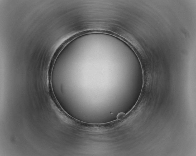 X0000114140980200910221521