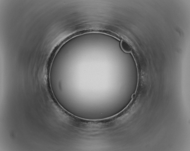 X0000114140981200910221521