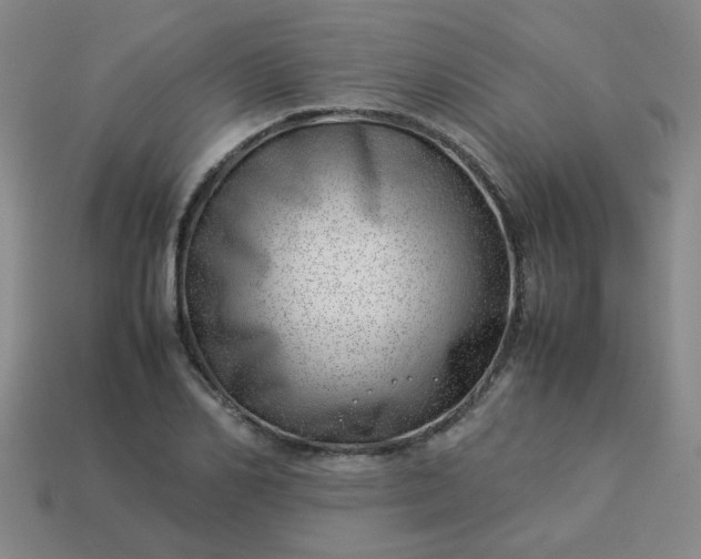 X0000114140982200910221521