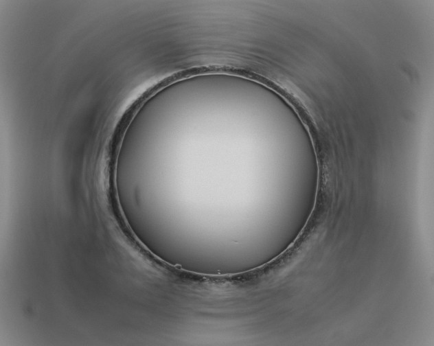 X0000114140983200910221521