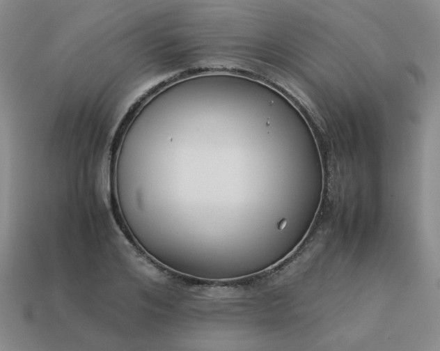 X0000114140984200910221521