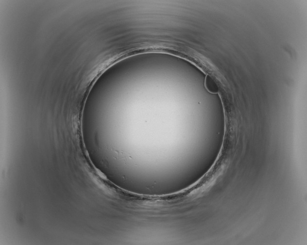 X0000114140985200910221521