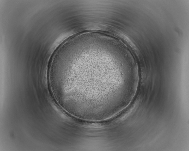 X0000114140986200910221521