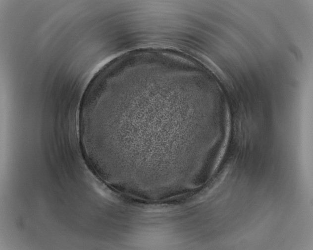 X0000114140988200910221521