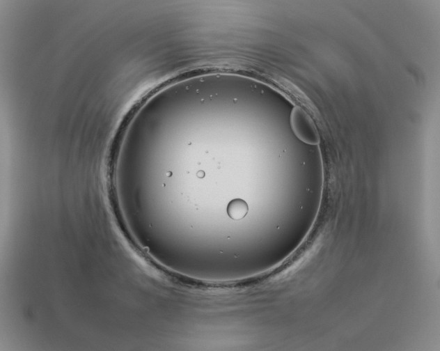 X0000114140989200910221521